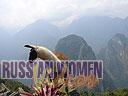 Machu-Picchu-009